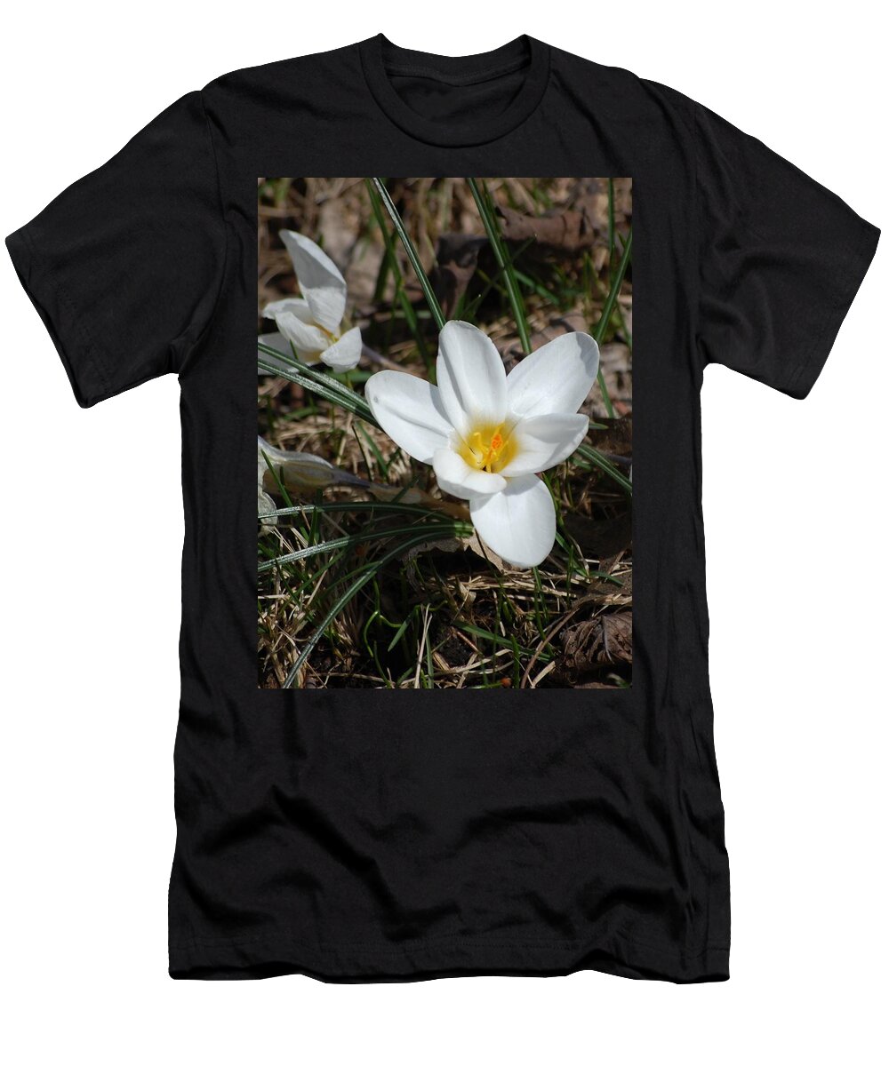 Digital Photography T-Shirt featuring the photograph white Crocus by David Lane