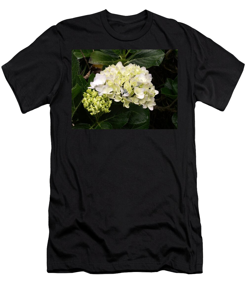 Flower T-Shirt featuring the photograph White Hydrangeas by Amy Fose