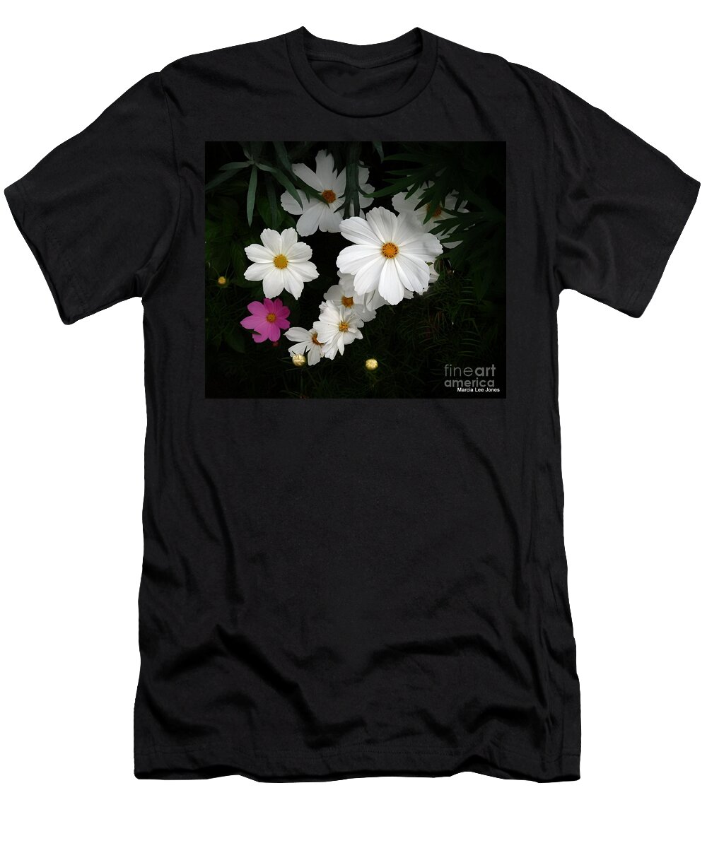 Marcia Lee Jones T-Shirt featuring the photograph White/Pink Cosmos by Marcia Lee Jones