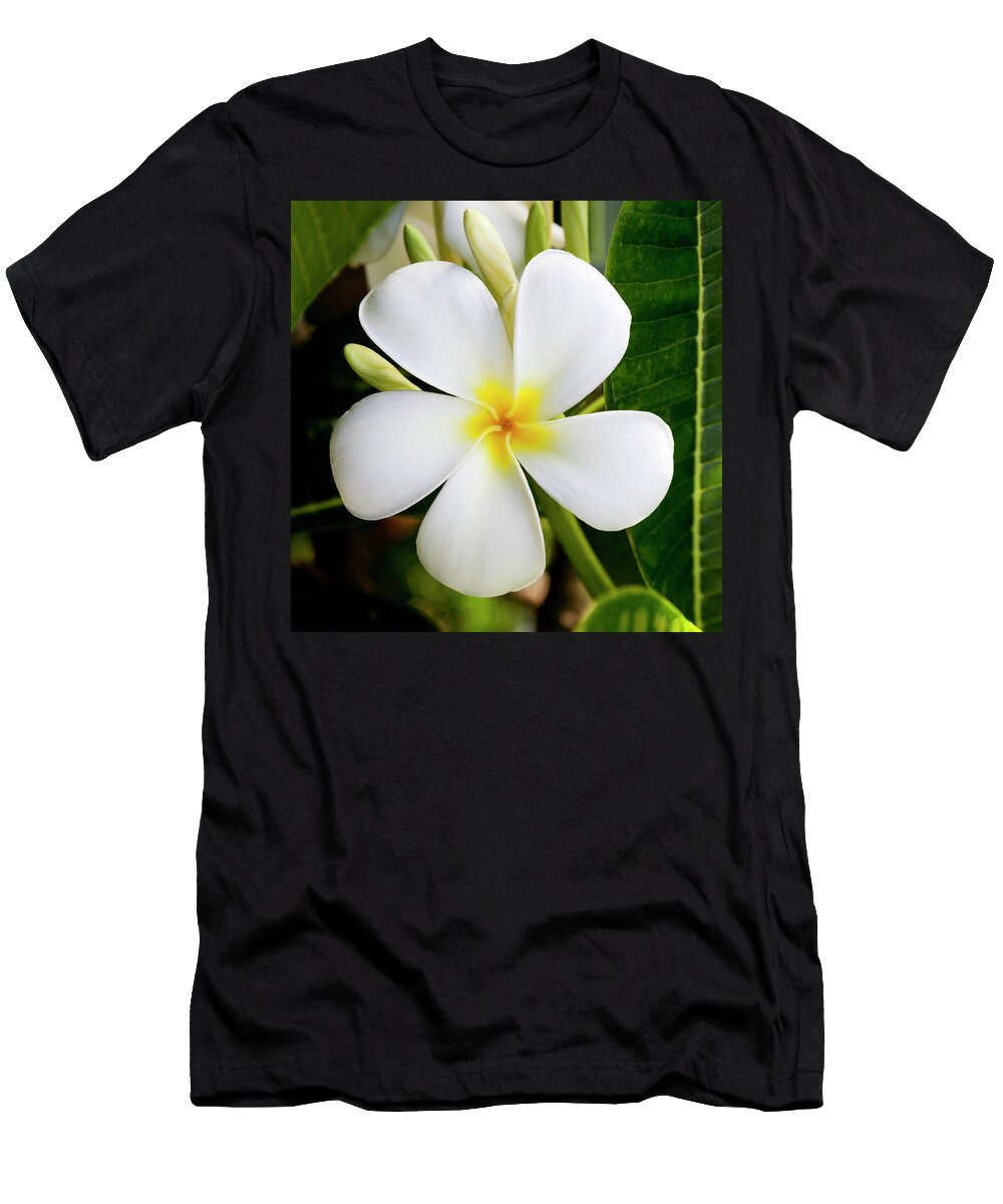 White Plumeria T-Shirt featuring the photograph White Plumeria by Kelley King