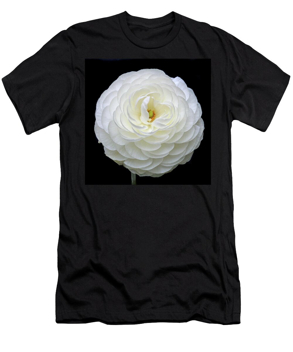 Ranunculus T-Shirt featuring the photograph White Ranunculus by Terence Davis