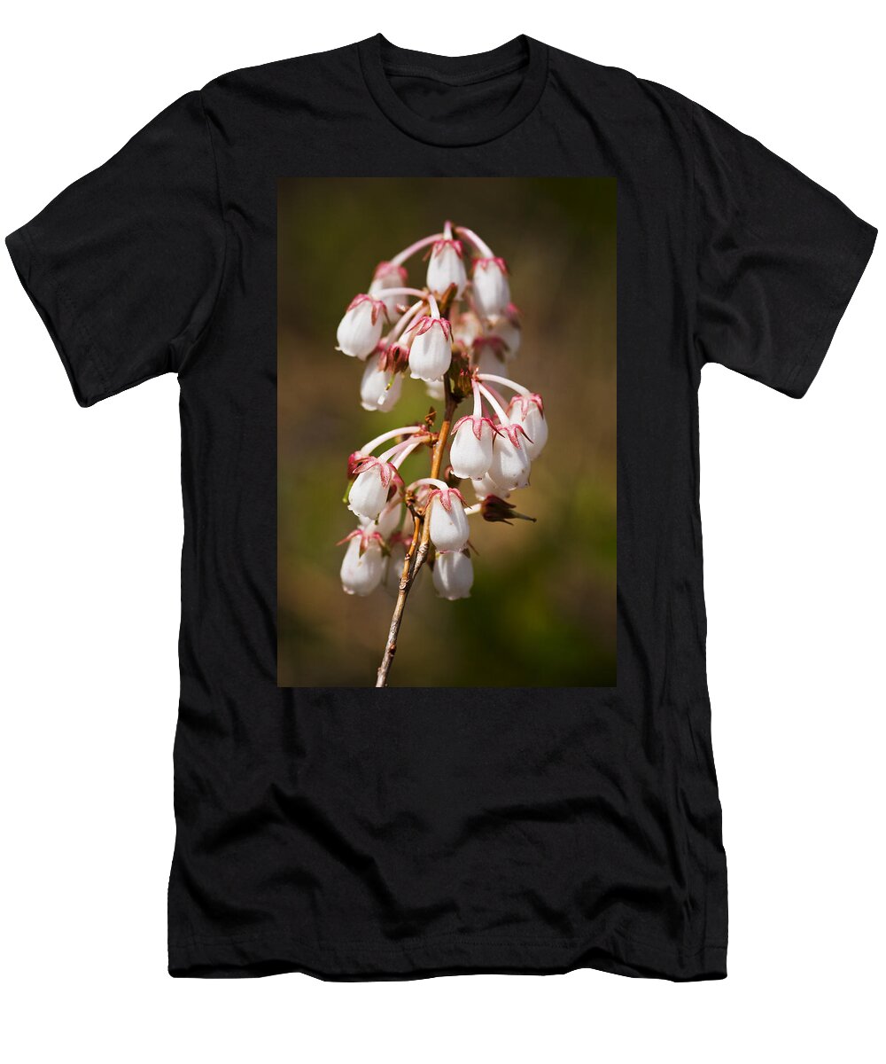 White T-Shirt featuring the photograph Wild Flowers by Bob Decker