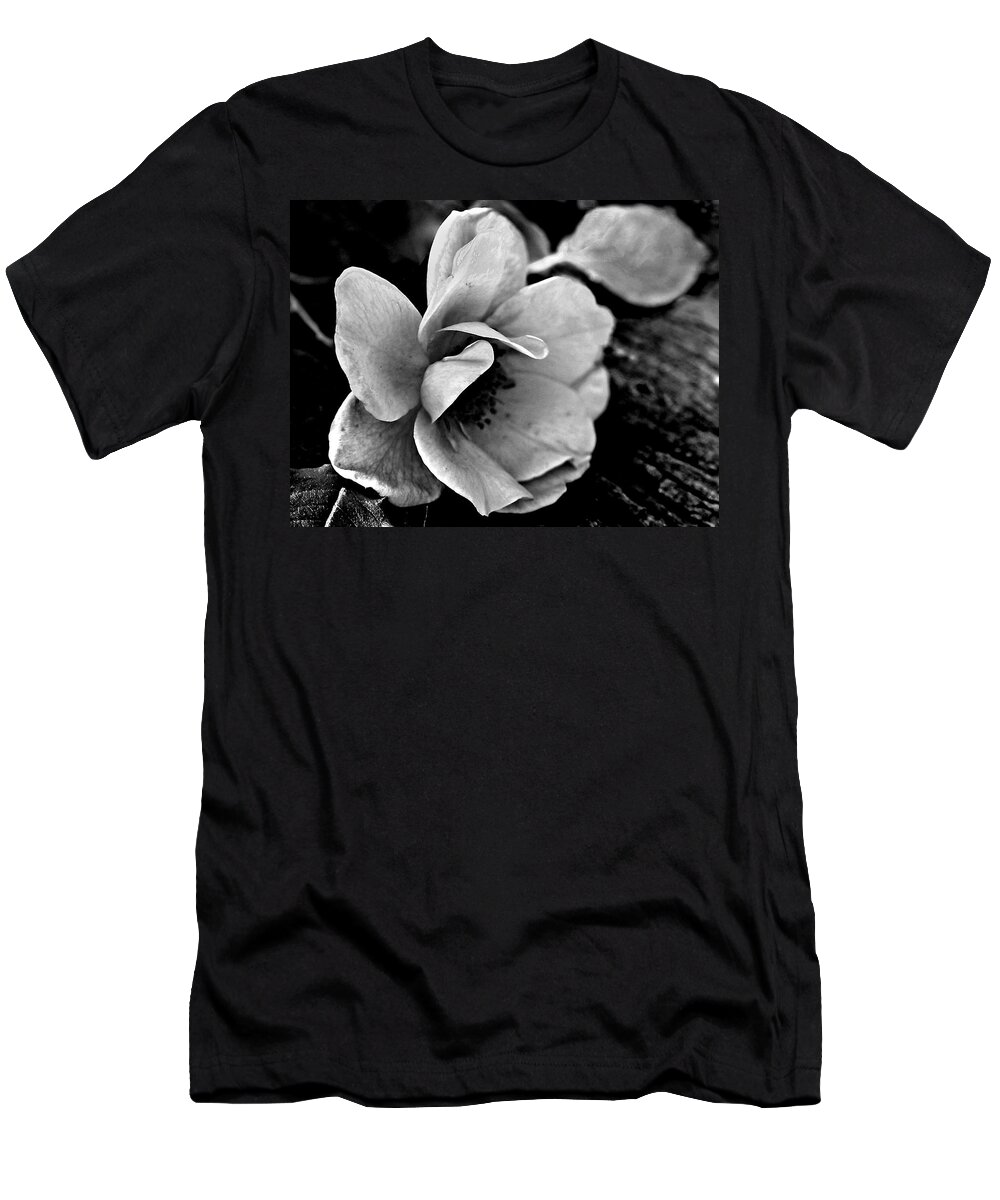 Ansel Adams T-Shirt featuring the photograph Wild Rose and Salvaged Barn Wood by Curtis J Neeley Jr