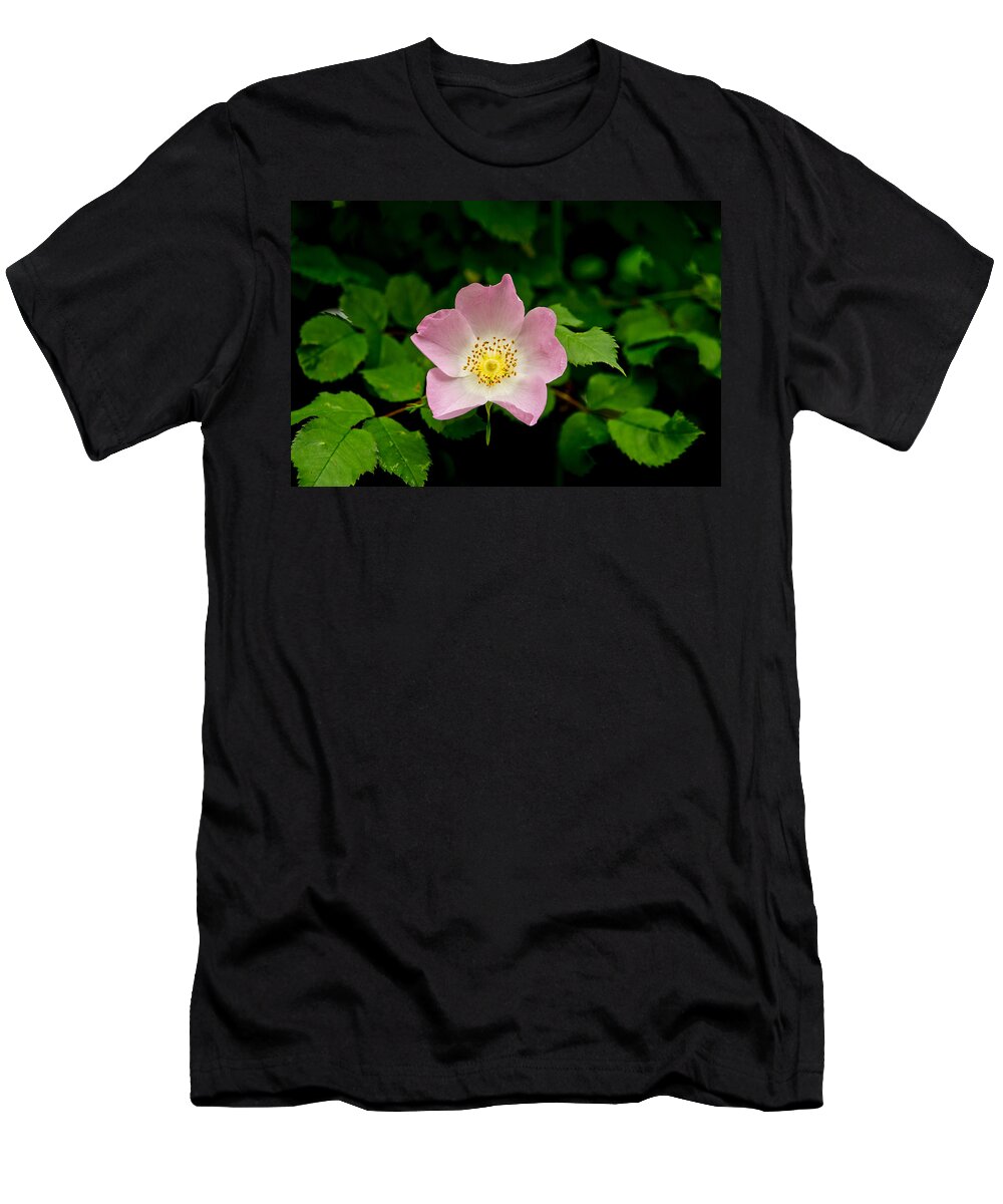 Wild Roses Floral T-Shirt featuring the photograph Wild Roses. First movement. by Elena Perelman