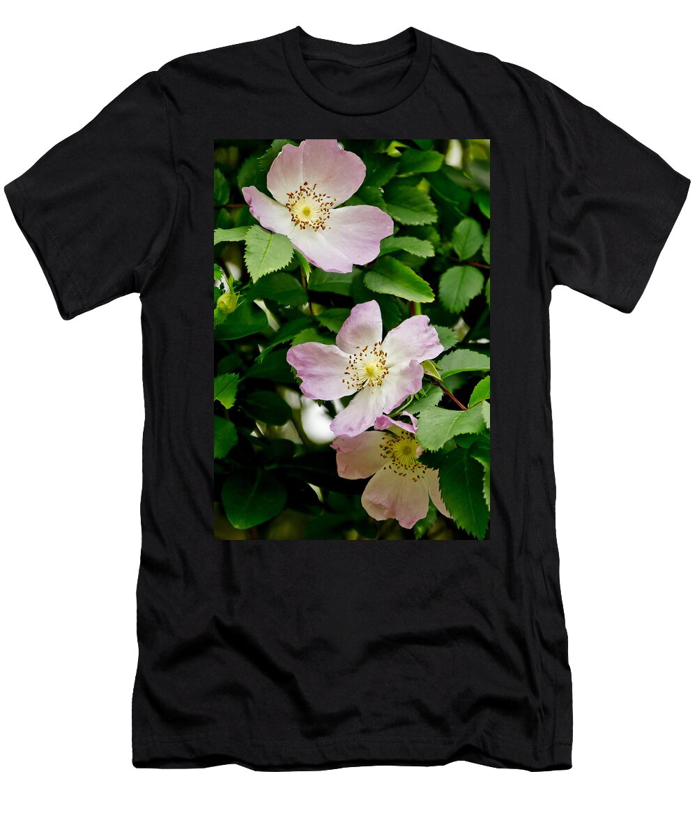 Wild Roses T-Shirt featuring the photograph Wild Roses. Trio. by Elena Perelman