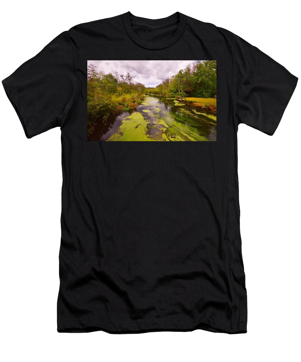 Featured T-Shirt featuring the photograph Wilderness Creek in the Autumn Woods by Stacie Siemsen