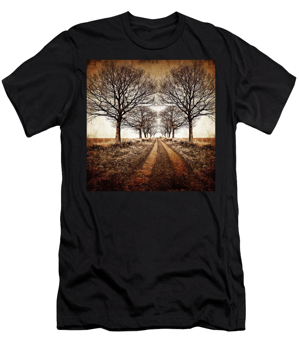 Avenue T-Shirt featuring the photograph Winter Avenue by Meirion Matthias