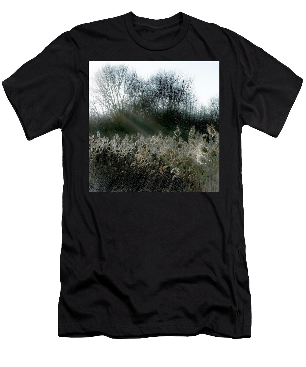  T-Shirt featuring the photograph Winter Fringe by Kendall McKernon