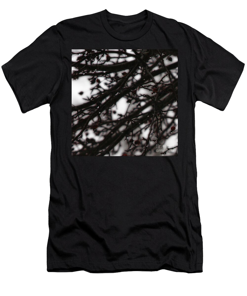 Branches T-Shirt featuring the photograph Winter Rain by Linda Shafer