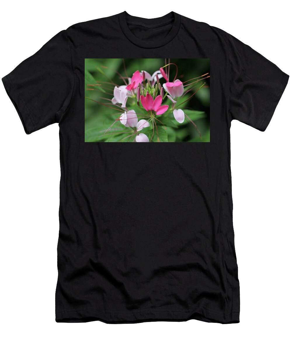Cleome T-Shirt featuring the photograph Wonders of Cleome by Deborah Crew-Johnson