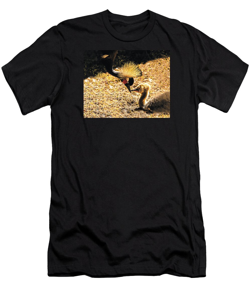 Bird T-Shirt featuring the photograph Yellow Crowned Crane Feeding Her Chick by William Bitman