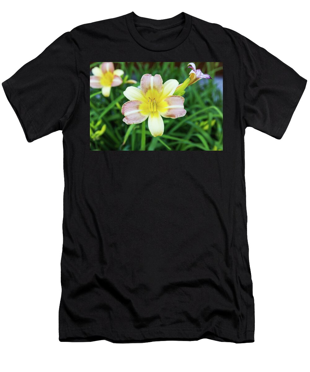 Daylily T-Shirt featuring the photograph Yellow Daylily by D K Wall