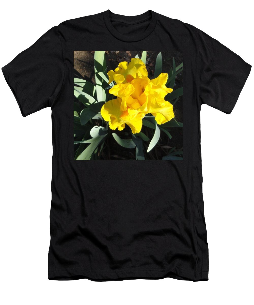 Yellow T-Shirt featuring the photograph Yellow Iris by Shannon Grissom