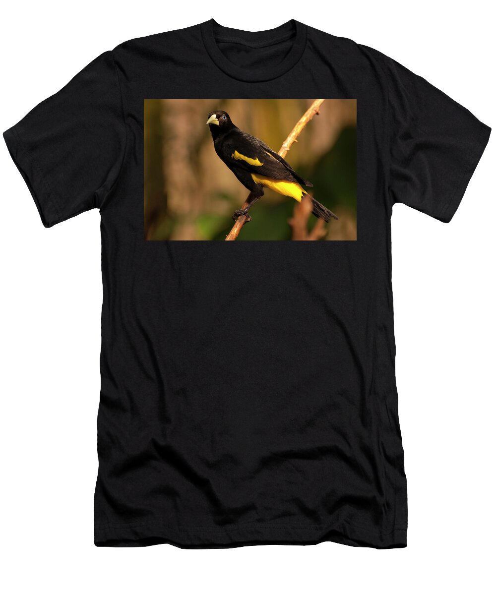  Yellow-rumped Cacique T-Shirt featuring the photograph Yellow-rumped Cacique by Flees Photos
