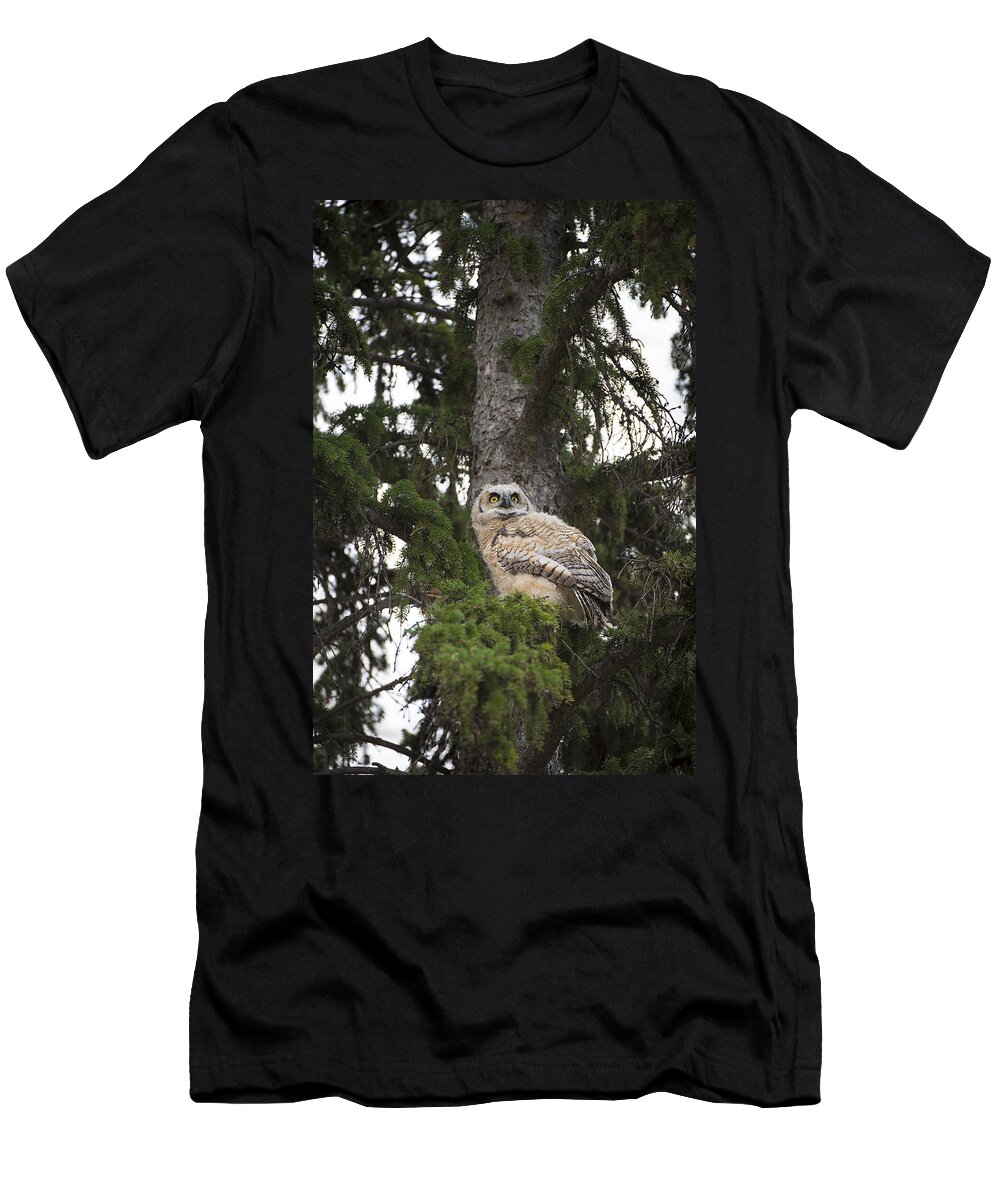 Owl T-Shirt featuring the photograph Young Owl in Tree by Bill Cubitt