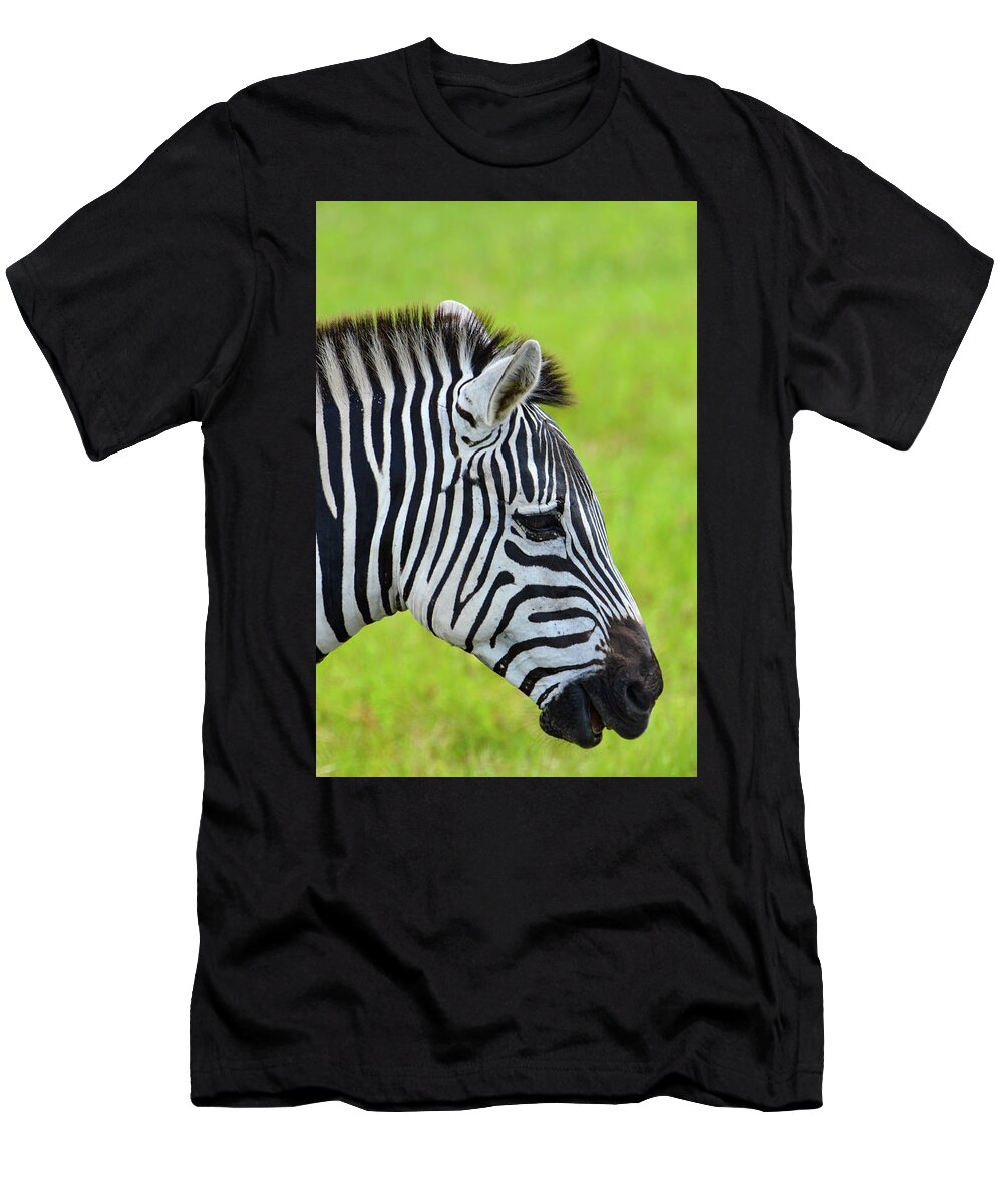 Zebra T-Shirt featuring the photograph Zebra Head Smiling with Mouth Open by Artful Imagery