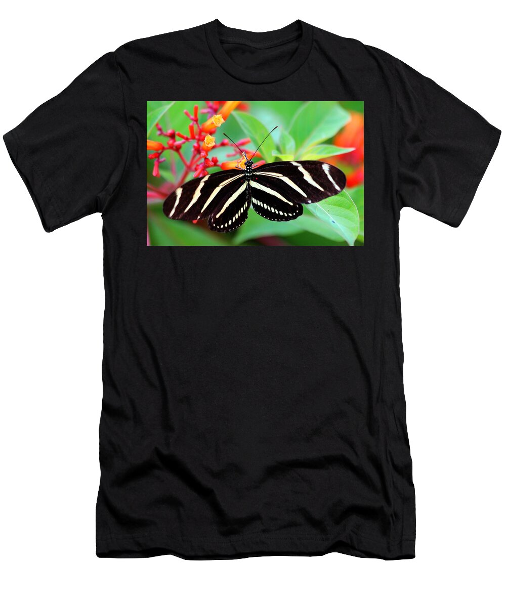 Zebra Longwing Butterfly T-Shirt featuring the photograph Zebra Longwing Butterfly by Carol Montoya