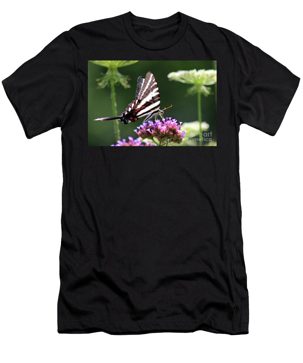 Zebra T-Shirt featuring the photograph Zebra Swallowtail Butterfly In July by Karen Adams