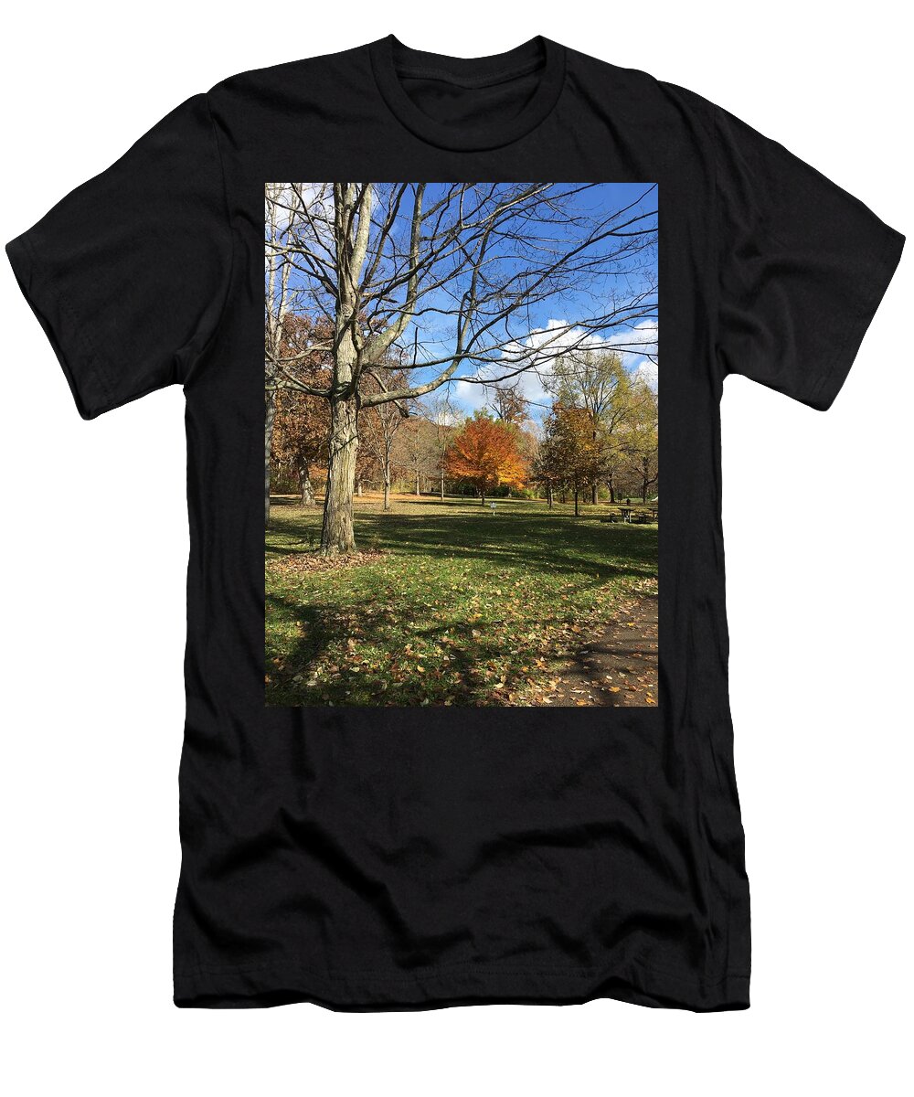 Blue Sky T-Shirt featuring the photograph Fall Season #1 by Eric Switzer