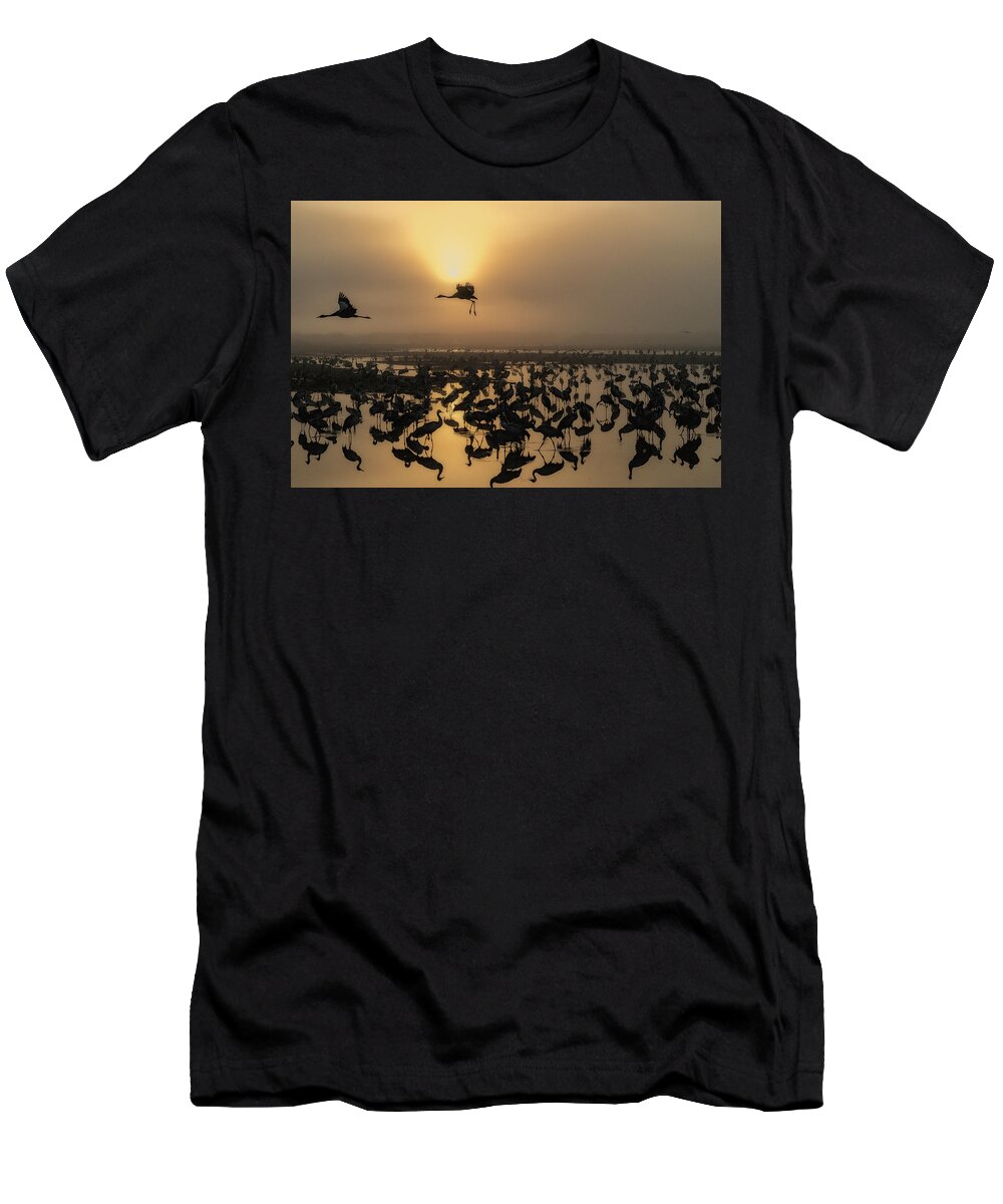 Cranes T-Shirt featuring the photograph Sunrise #2 by Uri Baruch