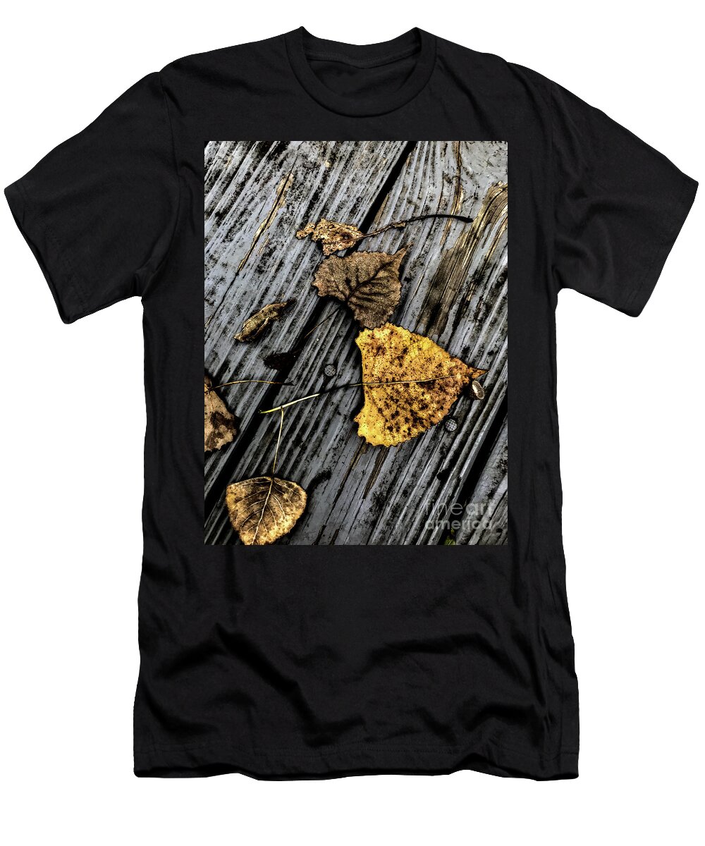 Autumn T-Shirt featuring the photograph Autumn #2 by William Norton