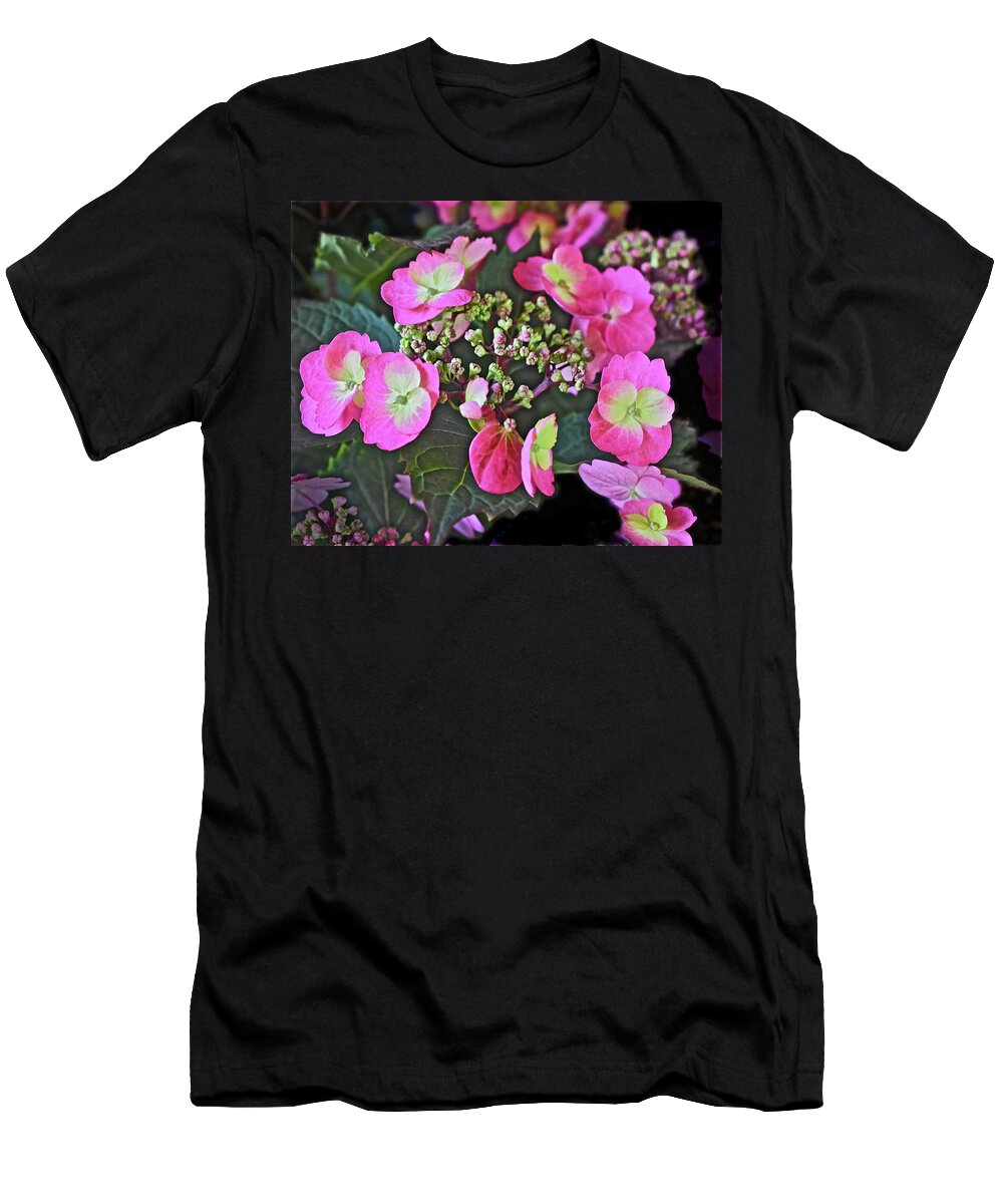 Flowers T-Shirt featuring the photograph 2019 June At the Gardens Tuff Stuff Hydrangea by Janis Senungetuk