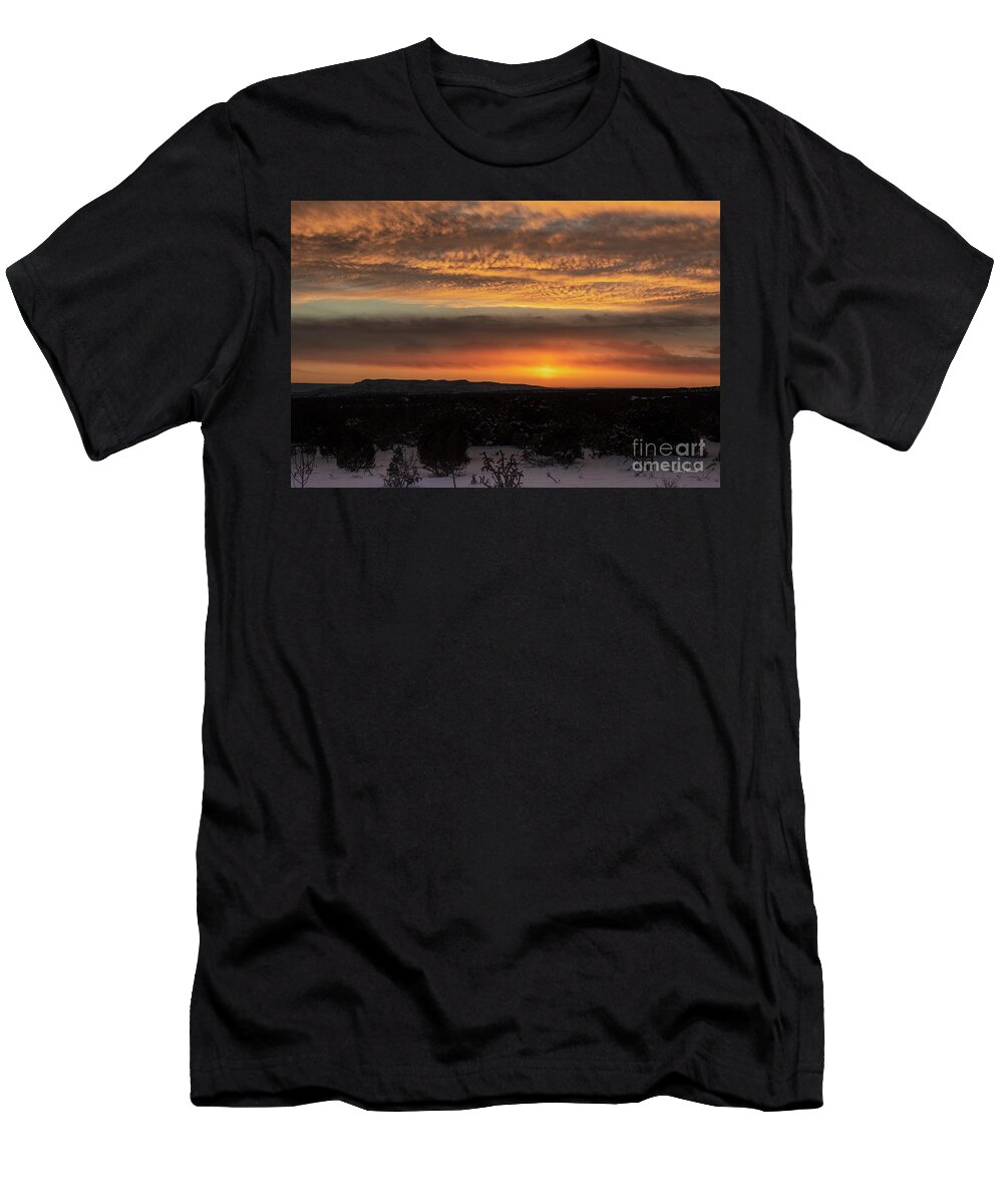 Natanson T-Shirt featuring the photograph After the Storm 2019 by Steven Natanson