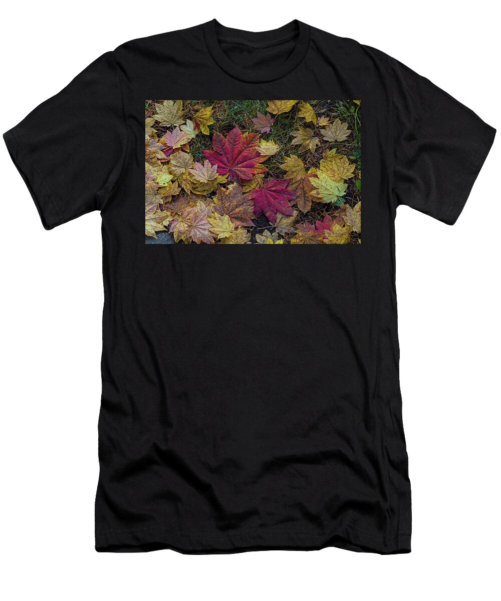 Fall T-Shirt featuring the photograph Autumn under the maple tree by Ulrich Burkhalter