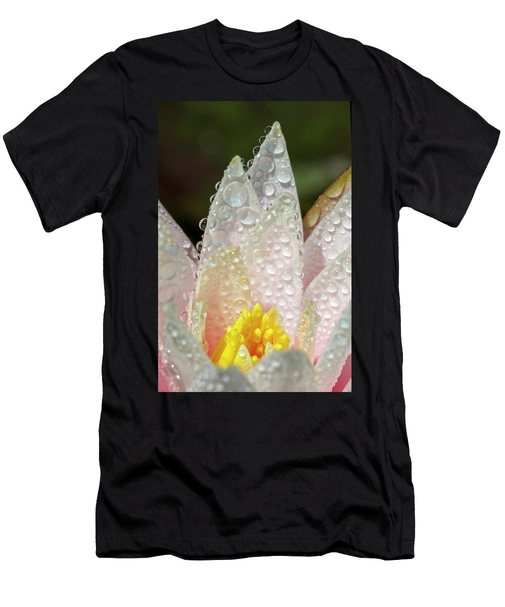 Beauty In The Rain T-Shirt featuring the photograph Beauty In The Rain by Wes and Dotty Weber