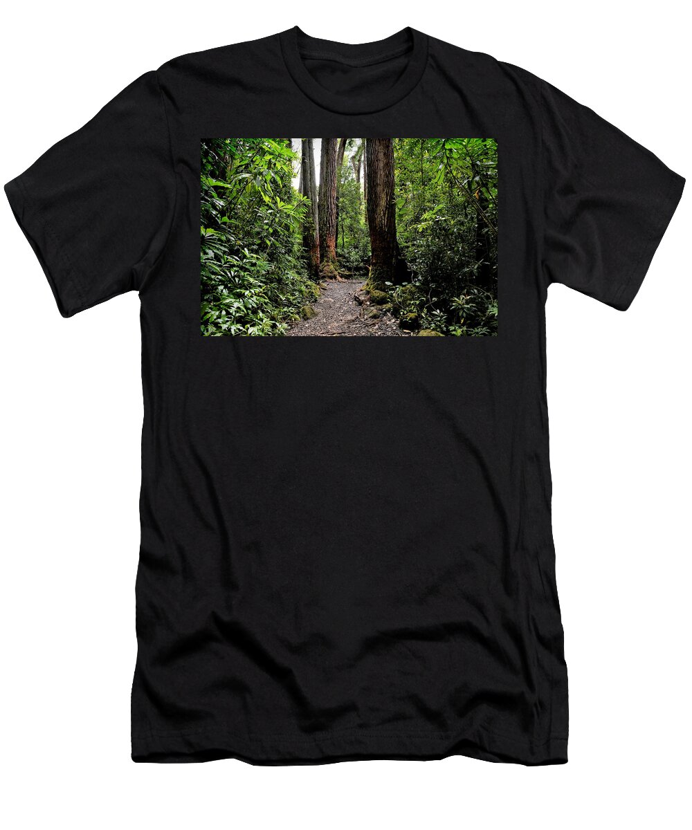 Magical Forest T-Shirt featuring the photograph Beckoning Forest Trail by Heidi Fickinger