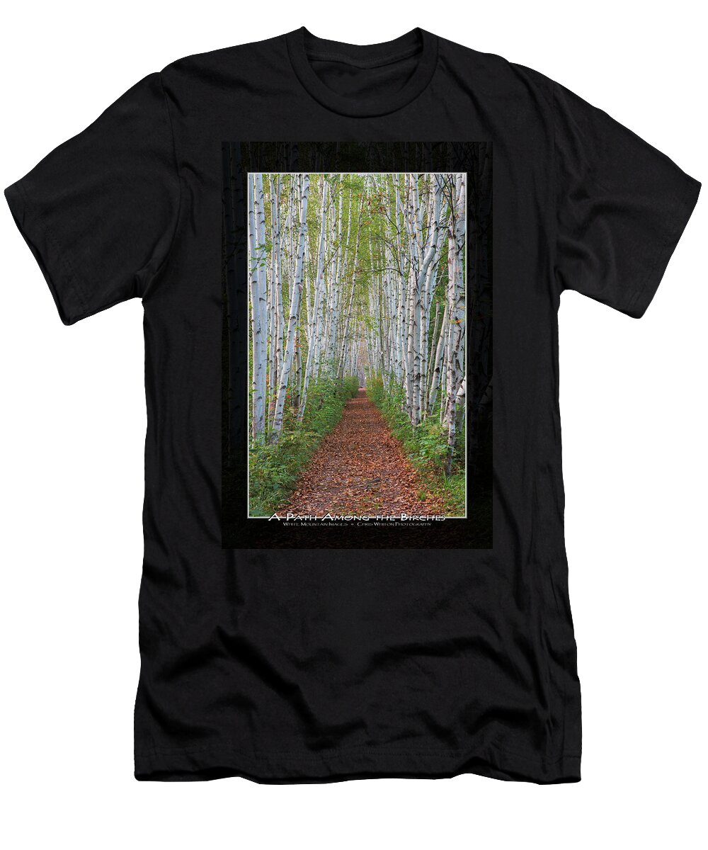 Birch T-Shirt featuring the photograph Birch Path Art Mat Print by White Mountain Images
