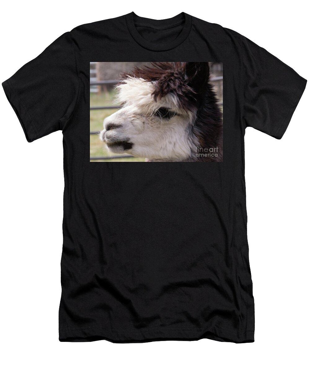 Alpaca T-Shirt featuring the photograph Black and White Alpaca by Christy Garavetto