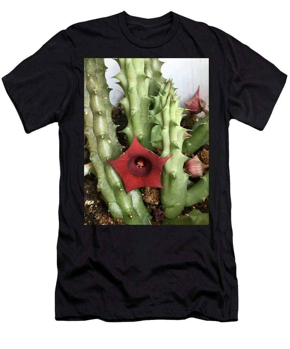 Cactus Blooming Flowers Plants Green Red Budding Flowering T-Shirt featuring the photograph Blooming Cactus by Suzanne Udell Levinger