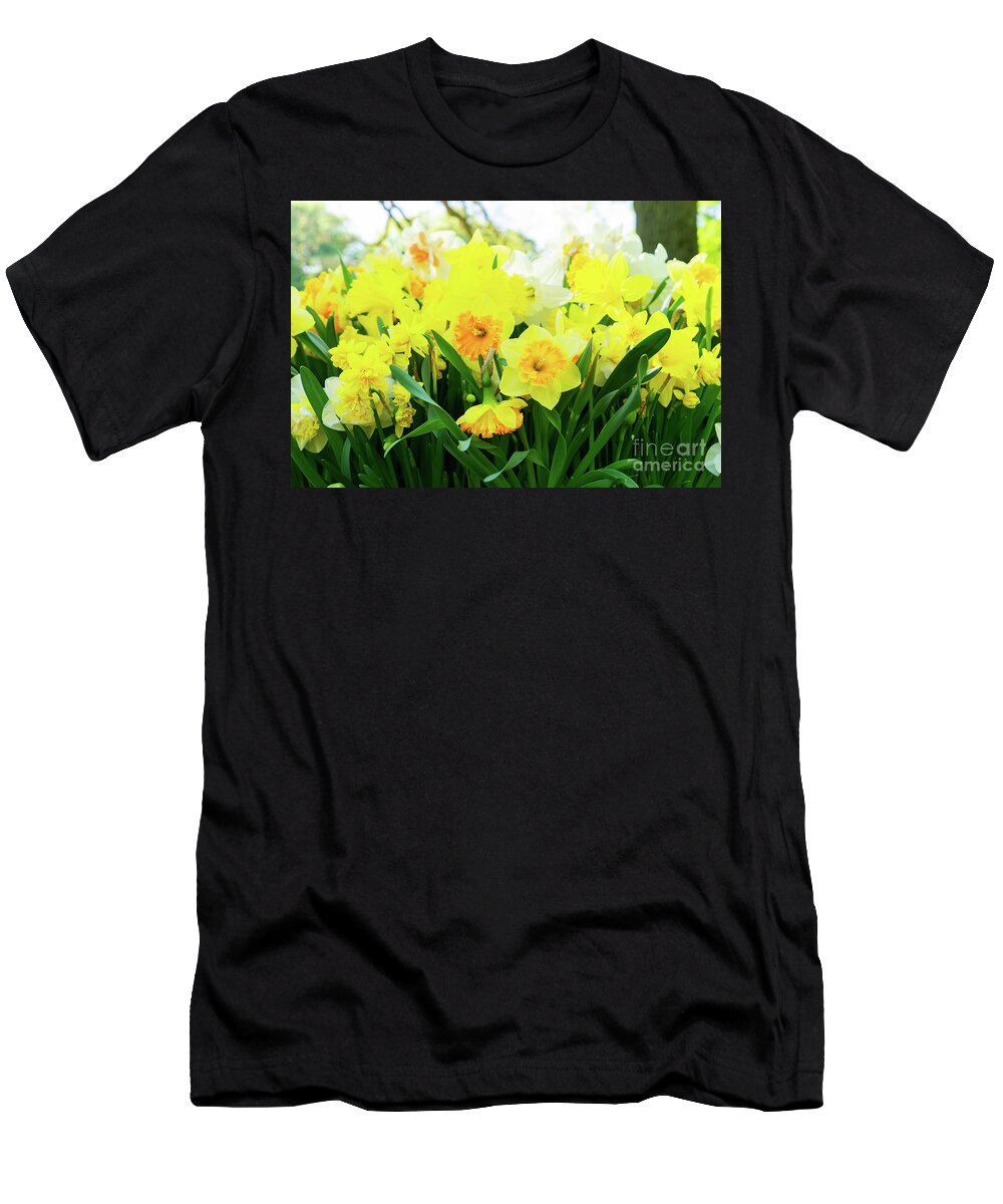 Narcissus T-Shirt featuring the photograph Blooming Yelow Daffodils by Anastasy Yarmolovich