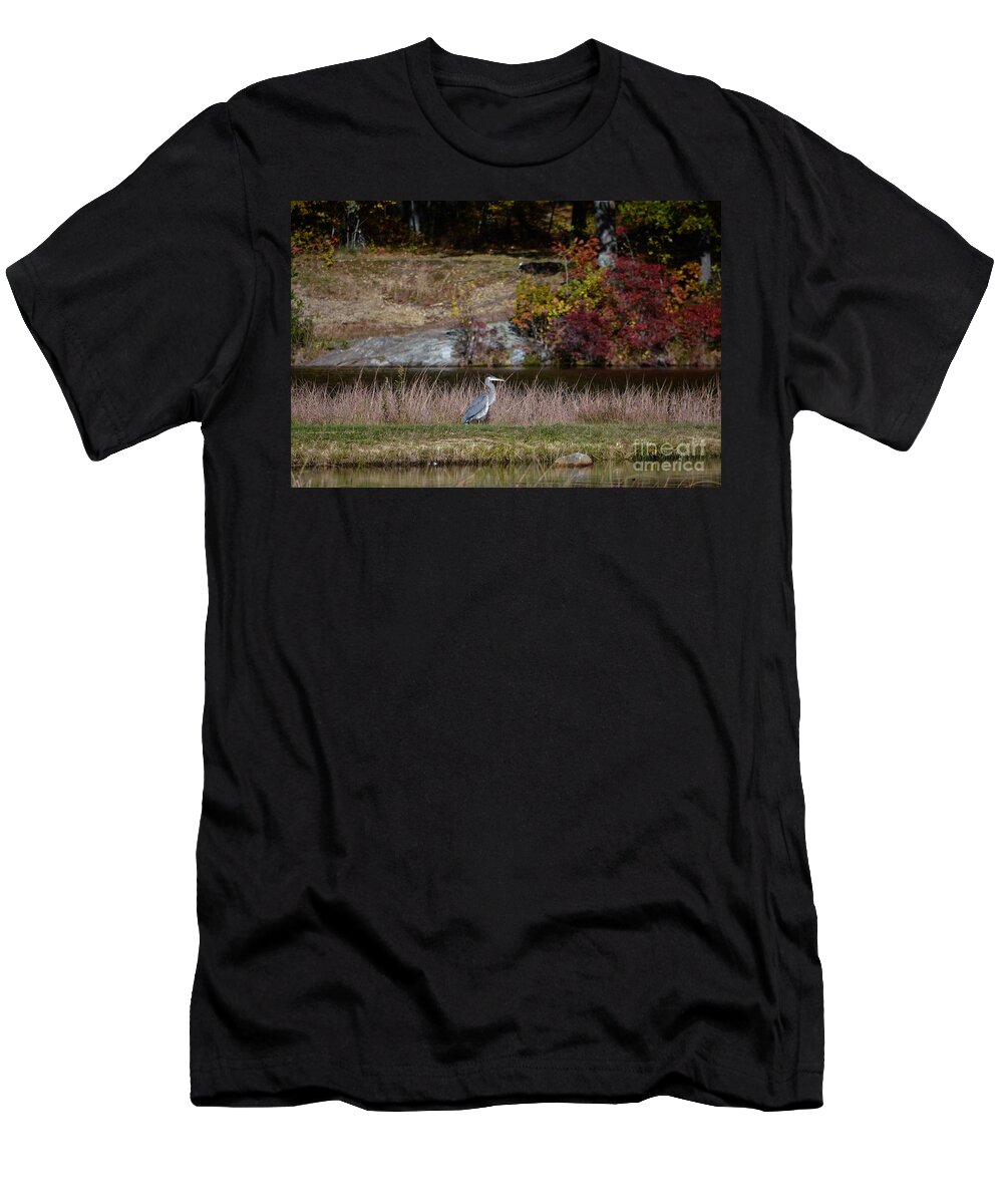 Blue Heron T-Shirt featuring the photograph Blue Heron In Watertown by Dani McEvoy