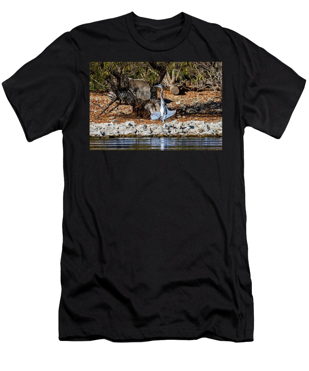 Blue Heron T-Shirt featuring the photograph Blue Heron Sunning by David Wagenblatt