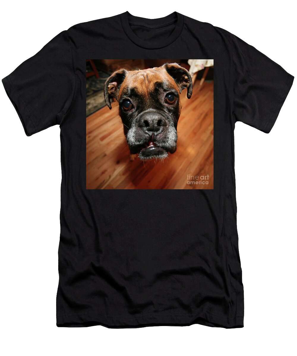 Boxer T-Shirt featuring the photograph Boxer Head Shot by Rich Collins