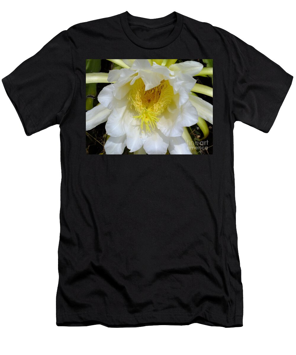 Cactus T-Shirt featuring the digital art Cactus smile by Yenni Harrison