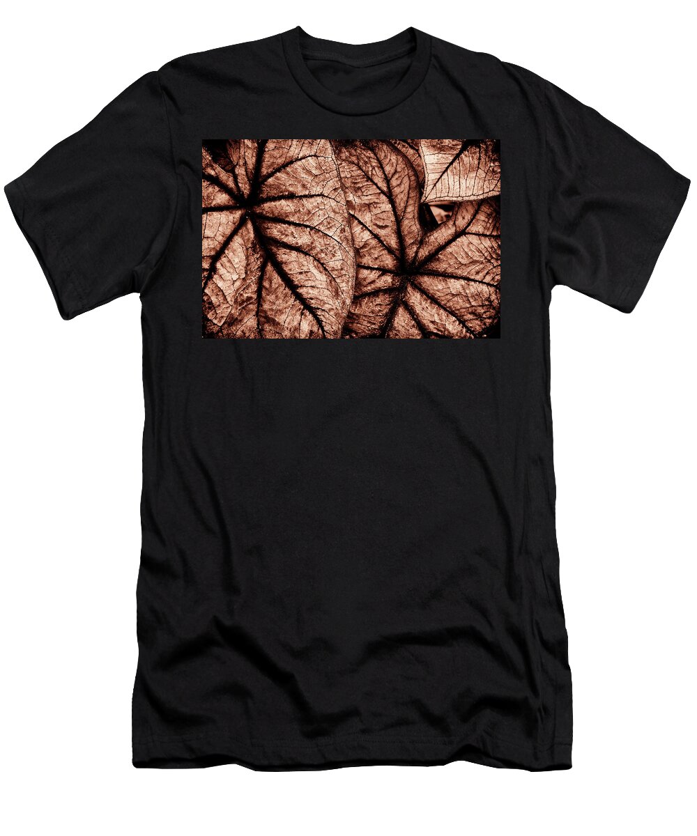 D1-f-0803-d T-Shirt featuring the photograph Caladium Leaves Curves and Lines by Paul W Faust - Impressions of Light