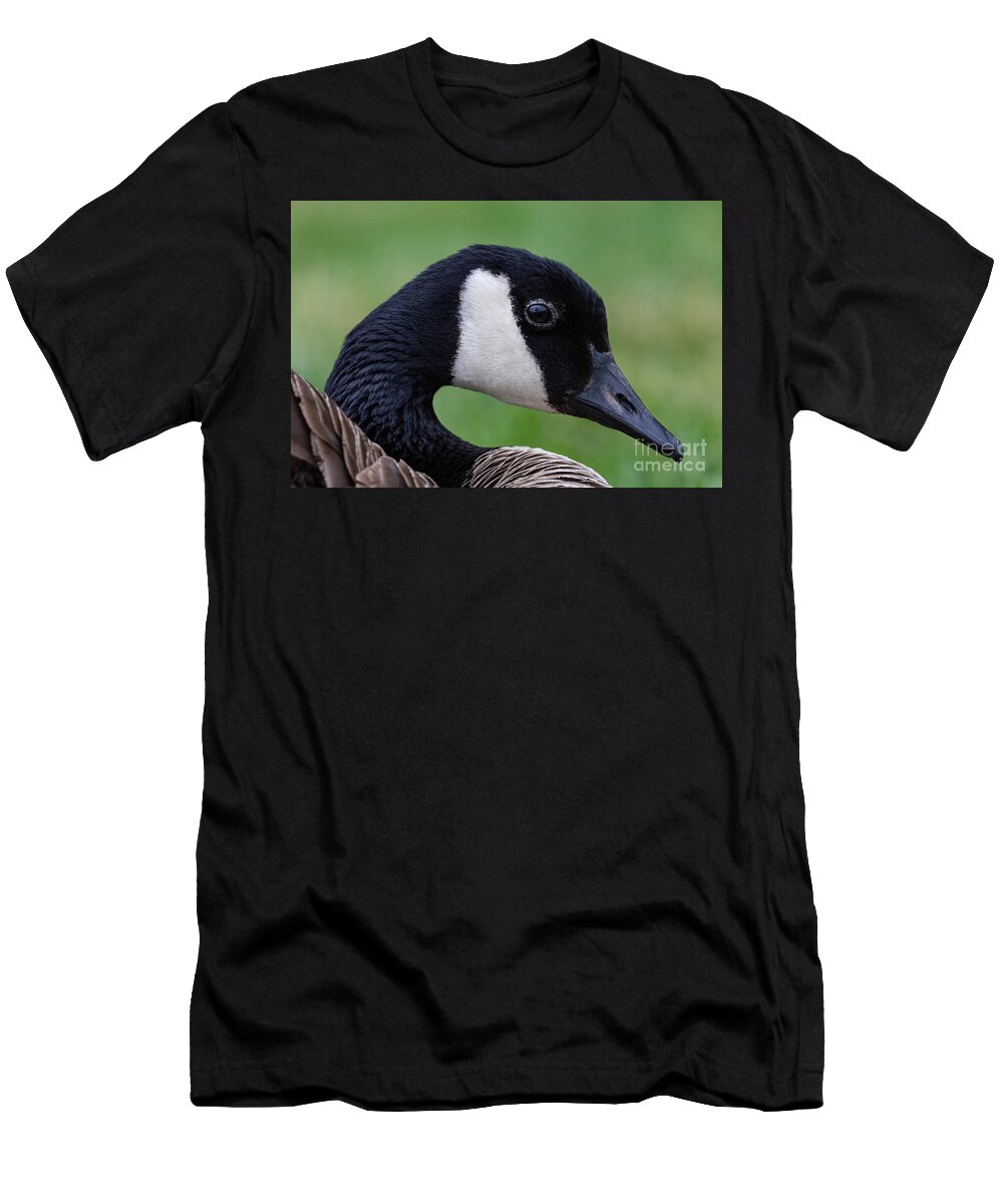 Photography T-Shirt featuring the photograph Canada Goose Portrait by Alma Danison