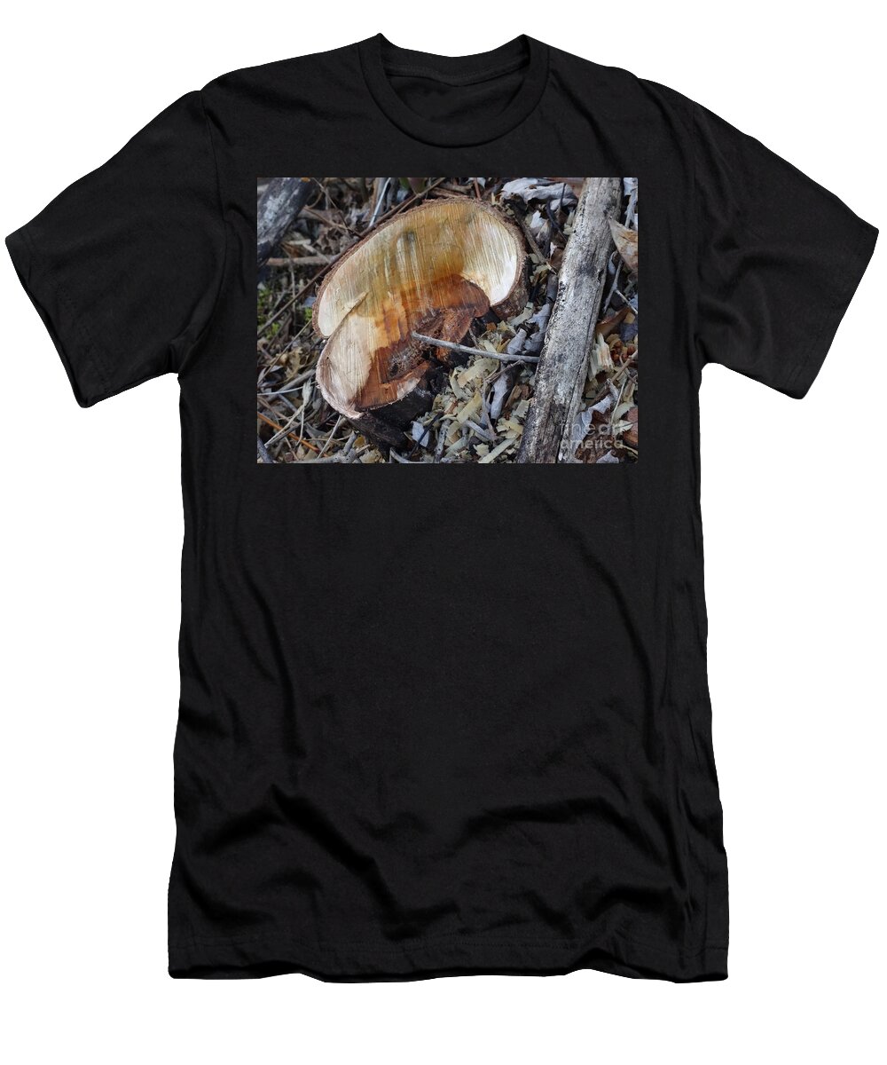 Canal T-Shirt featuring the photograph Canal Stumps-014 by Christopher Plummer