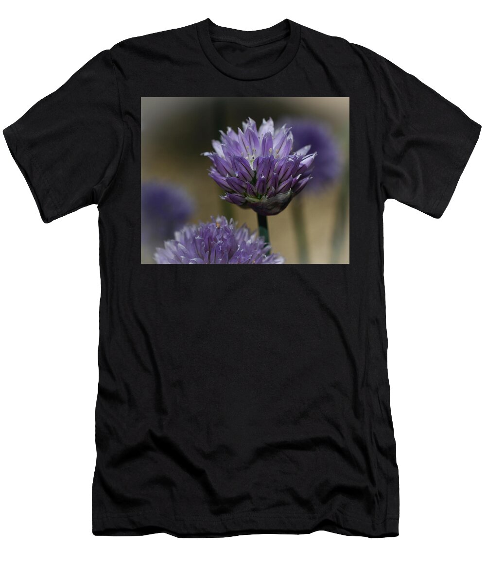 Chives T-Shirt featuring the photograph Chive Blossoms by Tana Reiff