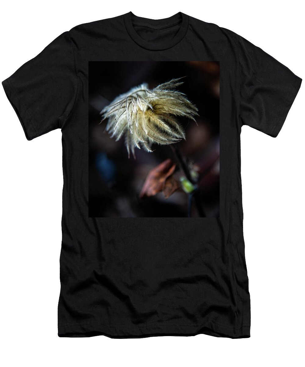 Chrystal Mimbs T-Shirt featuring the photograph Clematis In Winter by Greg and Chrystal Mimbs