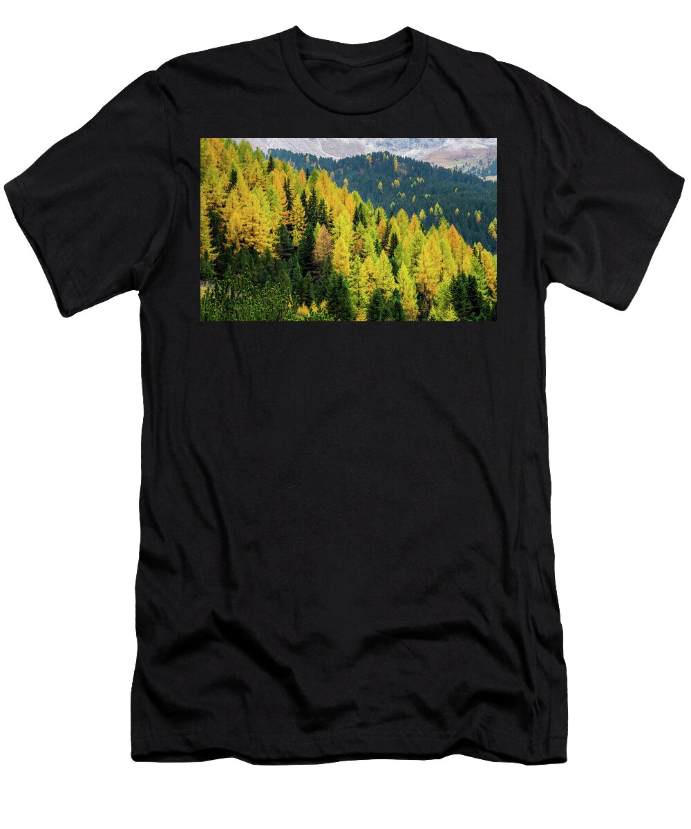 Dolomite Mountains T-Shirt featuring the photograph Yellow autumn trees in the forest by Michalakis Ppalis