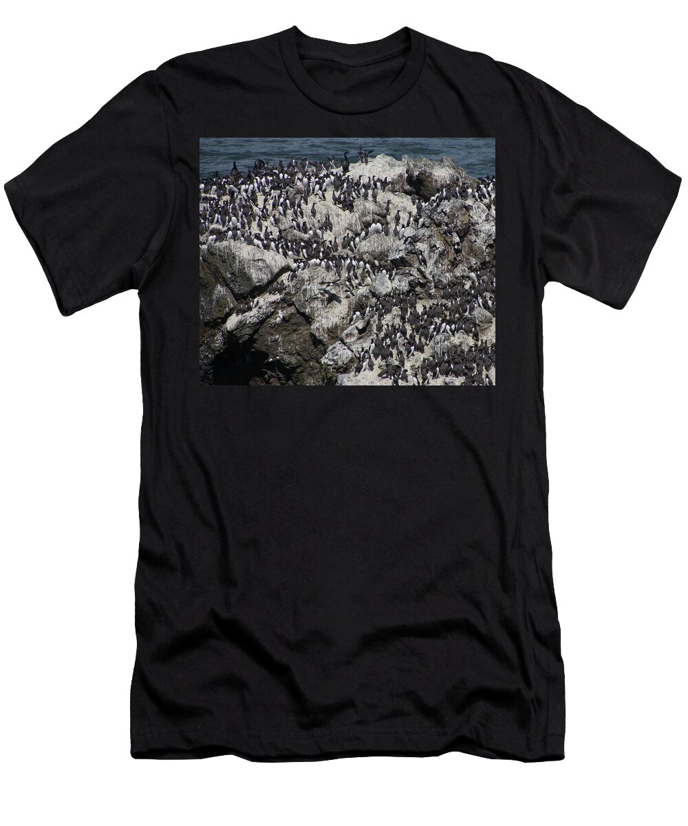 Coast T-Shirt featuring the photograph Common Murre and pelagic cormorants by Steve Estvanik