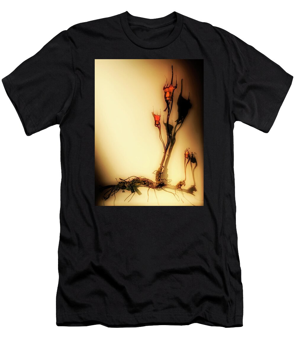 Cultivation T-Shirt featuring the photograph Cultivation of bulbs by Micah Offman