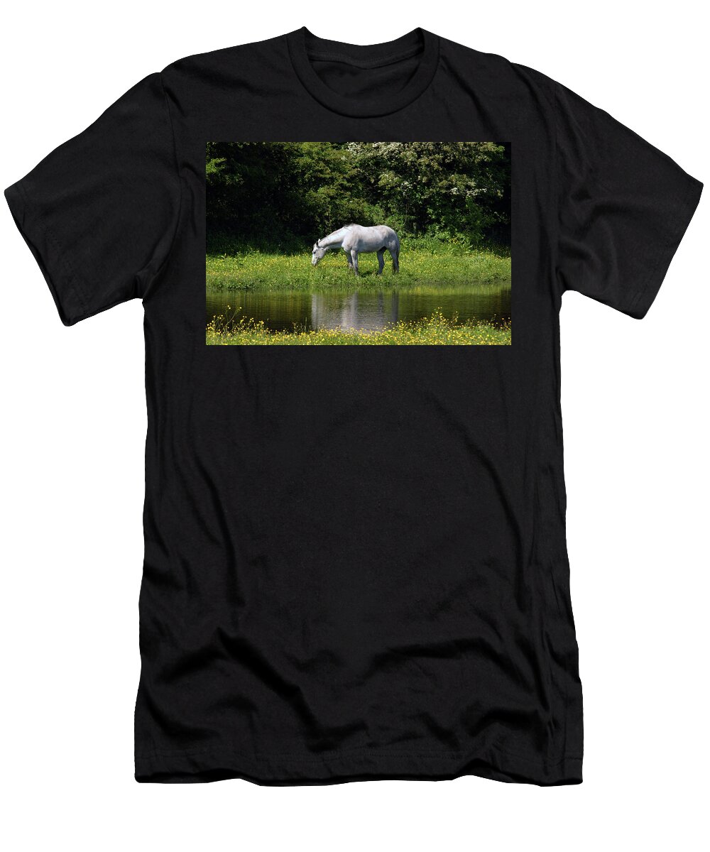 Ulverston T-Shirt featuring the photograph CUMBRIA. Ulverston. Horse By The Canal by Lachlan Main