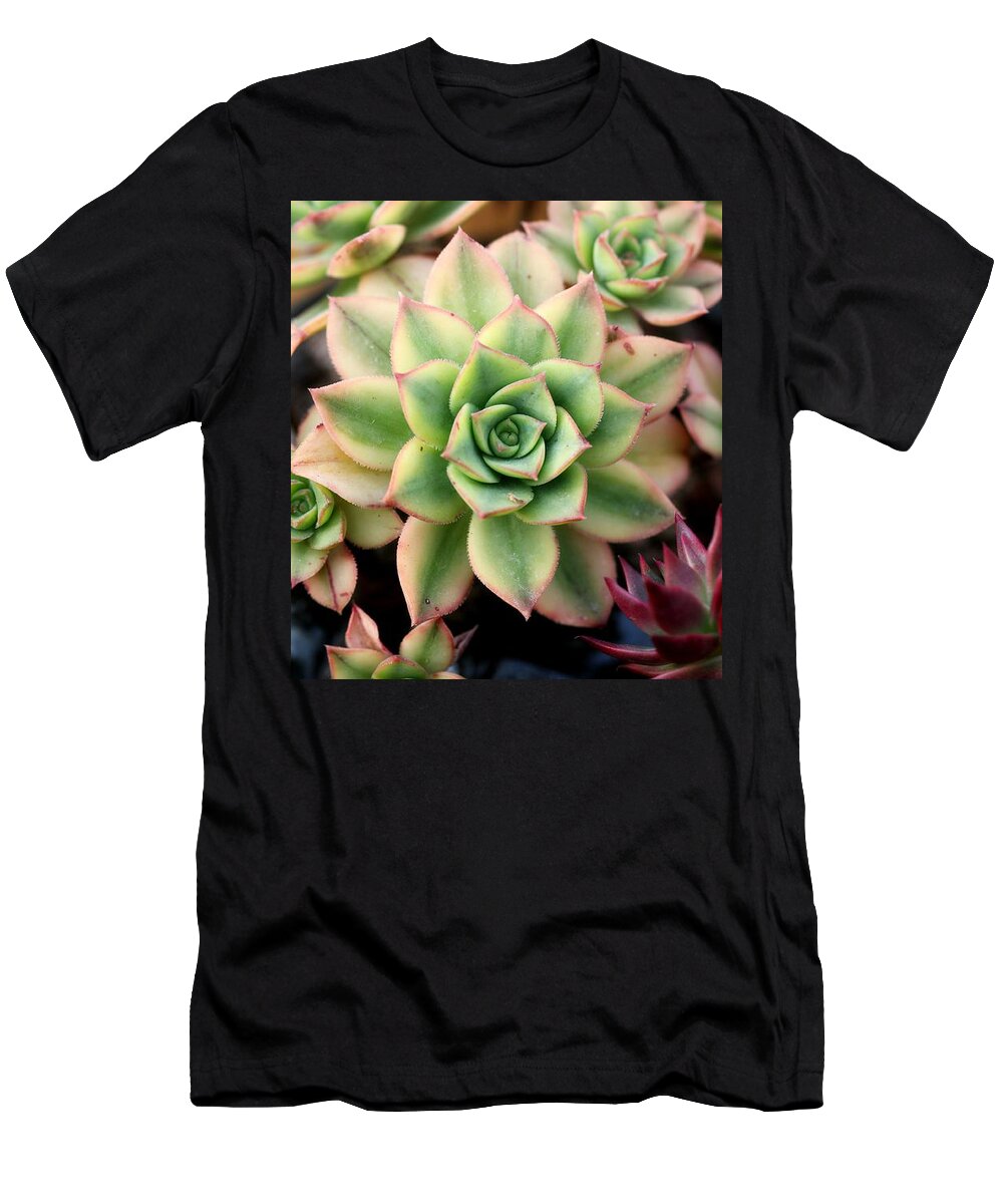 Cute T-Shirt featuring the photograph Cute succulent by Top Wallpapers