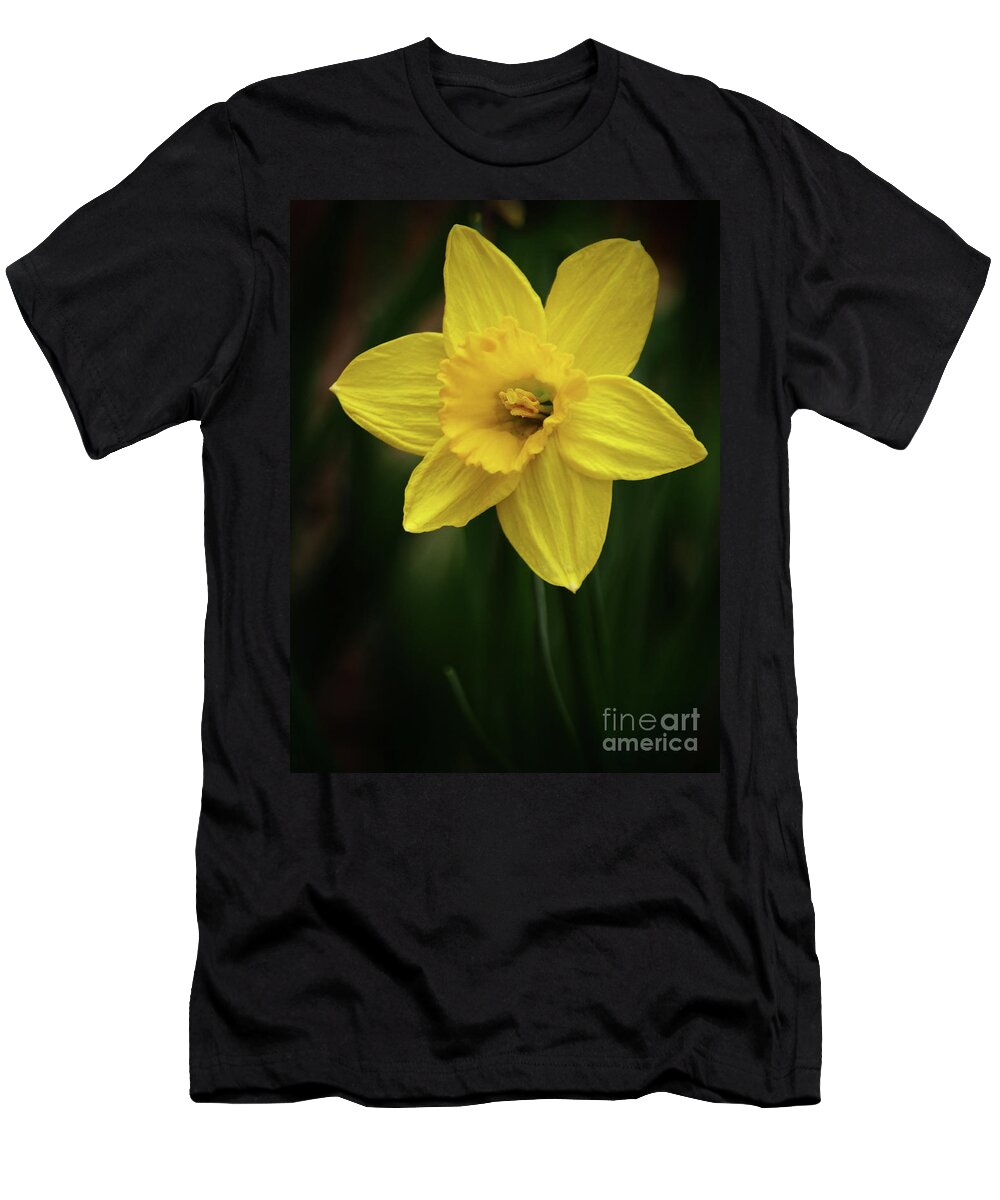 Color T-Shirt featuring the photograph Daffodil In The Garden Shadows by Dorothy Lee