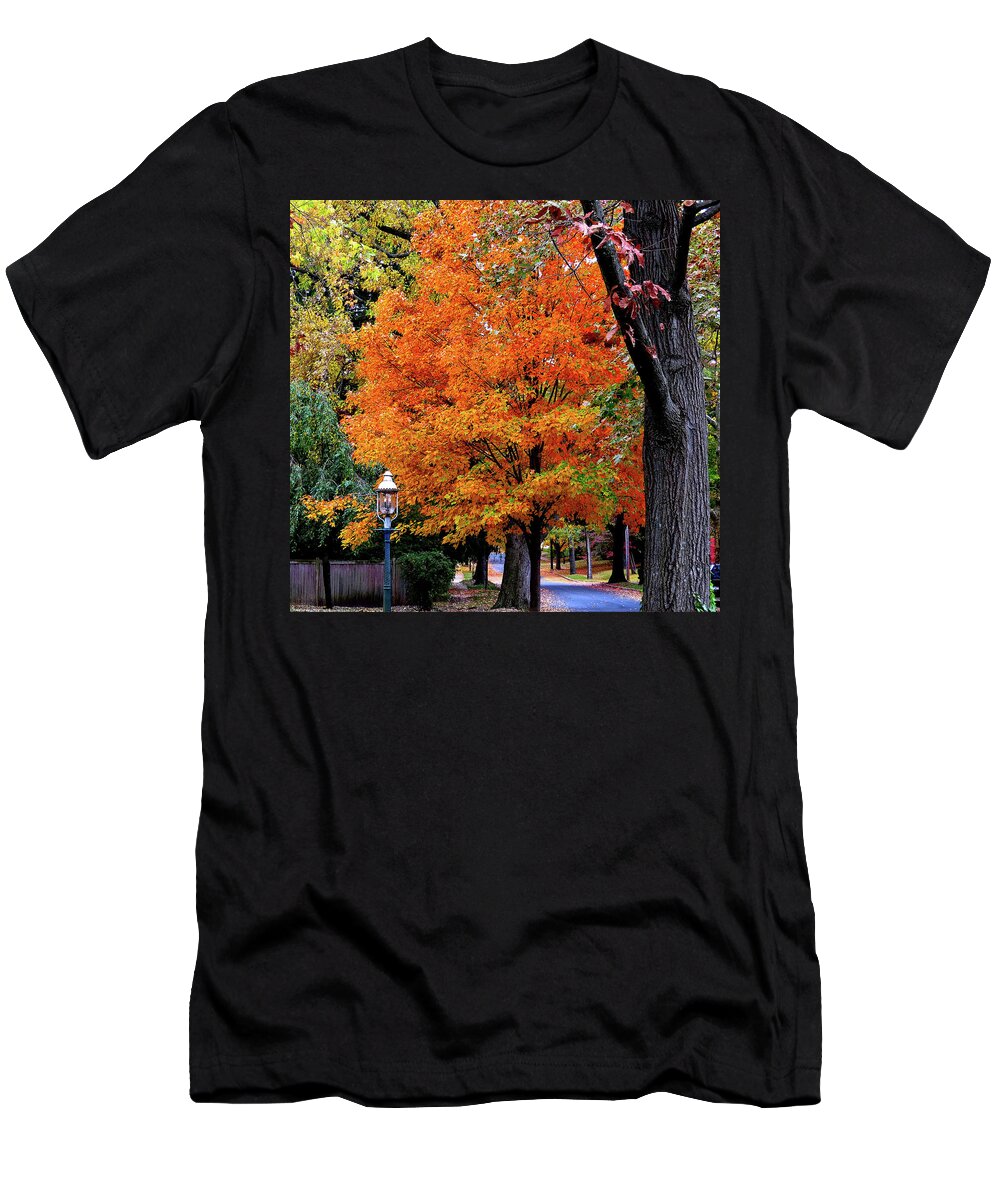Autumn T-Shirt featuring the photograph Down The Avenue in Autumn by Linda Stern